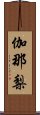 伽那梨 Scroll