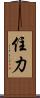 住力 Scroll