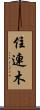 住連木 Scroll