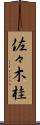 佐々木桂 Scroll