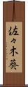 佐々木葵 Scroll