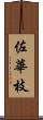 佐華枝 Scroll