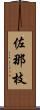 佐那枝 Scroll