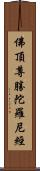 佛頂尊勝陀羅尼經 Scroll