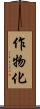 作物化 Scroll