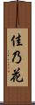 佳乃花 Scroll