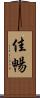 佳暢 Scroll