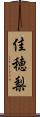佳穂梨 Scroll