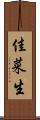 佳菜生 Scroll