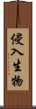侵入生物 Scroll
