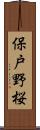 保戸野桜 Scroll