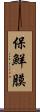 保鮮膜 Scroll