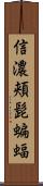 信濃頬髭蝙蝠 Scroll