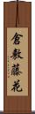 倉敷藤花 Scroll