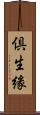倶生緣 Scroll