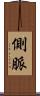 側脈 Scroll