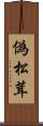 偽松茸 Scroll