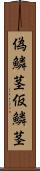 偽鱗茎 Scroll
