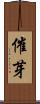 催芽 Scroll