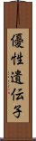 優性遺伝子 Scroll