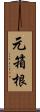 元箱根 Scroll