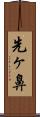 先ヶ鼻 Scroll