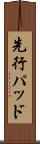 先行パッド Scroll