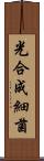 光合成細菌 Scroll