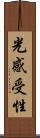 光感受性 Scroll