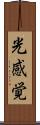 光感覚 Scroll