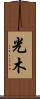 光木 Scroll