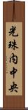 光珠内中央 Scroll