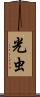光虫 Scroll