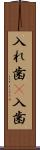 入れ歯(P) Scroll