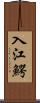 入江鰐 Scroll