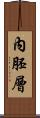 內胚層 Scroll