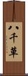 八千草 Scroll