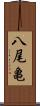 八尾亀 Scroll