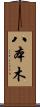 八本木 Scroll