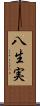 八生実 Scroll