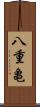 八重亀 Scroll