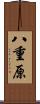 八重原 Scroll