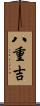 八重吉 Scroll