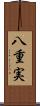 八重実 Scroll
