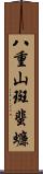 八重山斑蜚蠊 Scroll