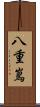 八重嶌 Scroll