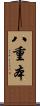 八重本 Scroll