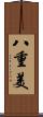 八重美 Scroll