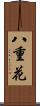 八重花 Scroll
