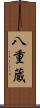 八重蔵 Scroll